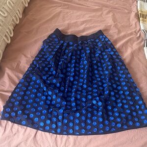 Beautiful J Crew Appliqué Skirt